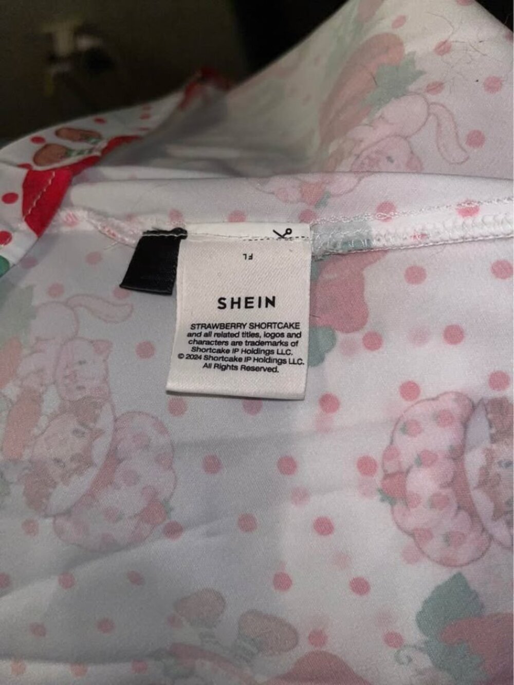 Strawberry Shortcake Dress, Ladies Medium - Picture 4 of 10